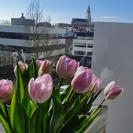 Lovely Modern 1-bedroom Apartment, Free Parking * Reykjavik